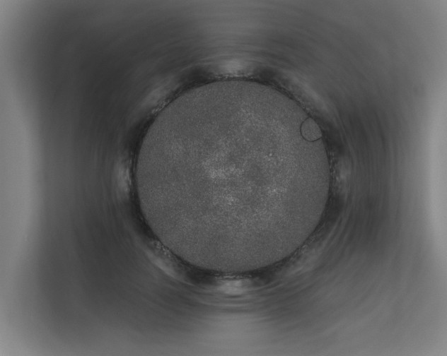 X0000110760746200906151305