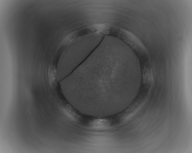 X0000110760748200906151305
