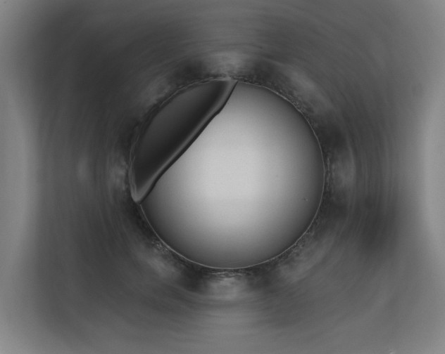 X0000110760750200906151305