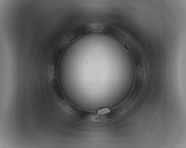 X0000110760752200906151305