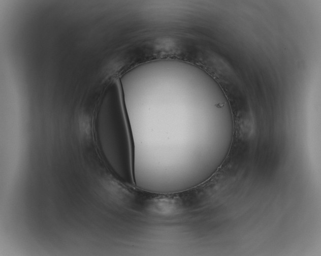 X0000110760756200906151305
