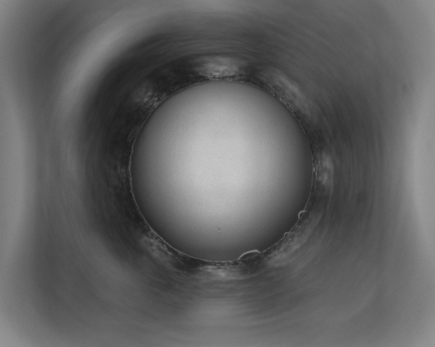 X0000110760763200906151305