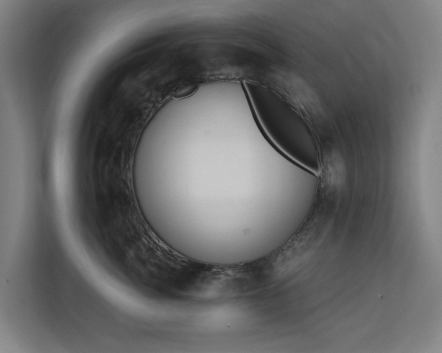 X0000110760764200906151305