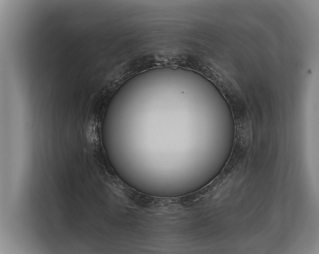 X0000110760770200906151305