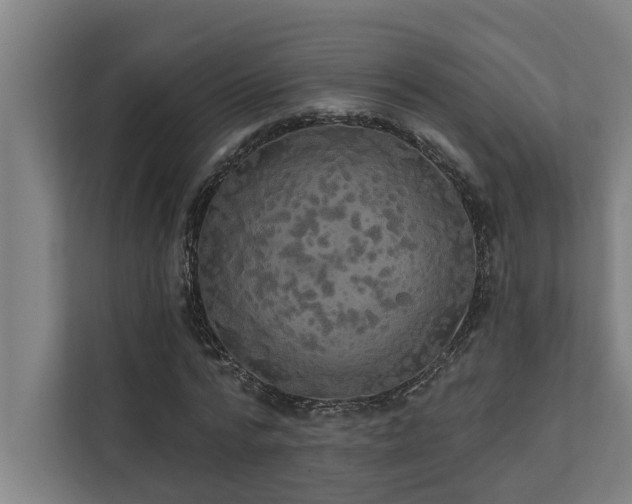 X0000110760776200906151305