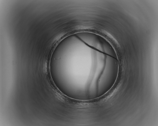X0000110760777200906151305