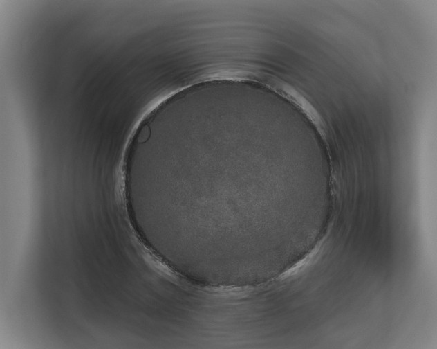 X0000110760779200906151305