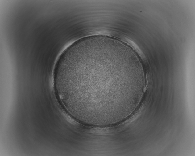 X0000110760780200906151305