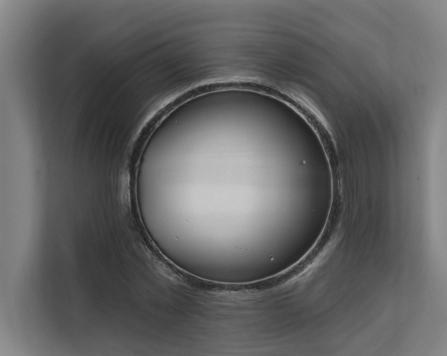 X0000110760781200906151305