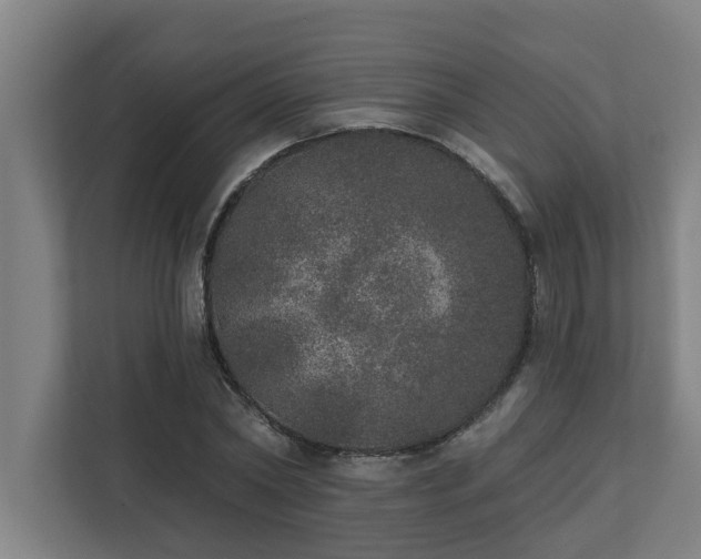 X0000110760782200906151305