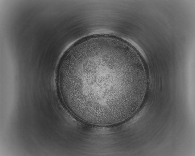 X0000110760783200906151305