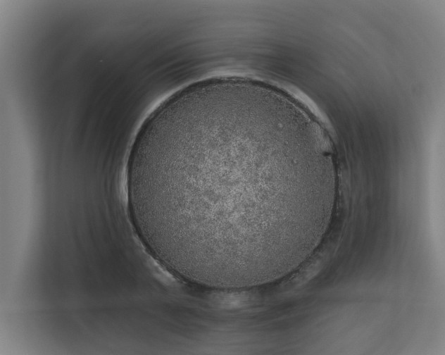 X0000110760791200906151305