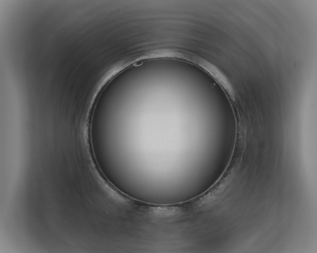 X0000110760805200906151304