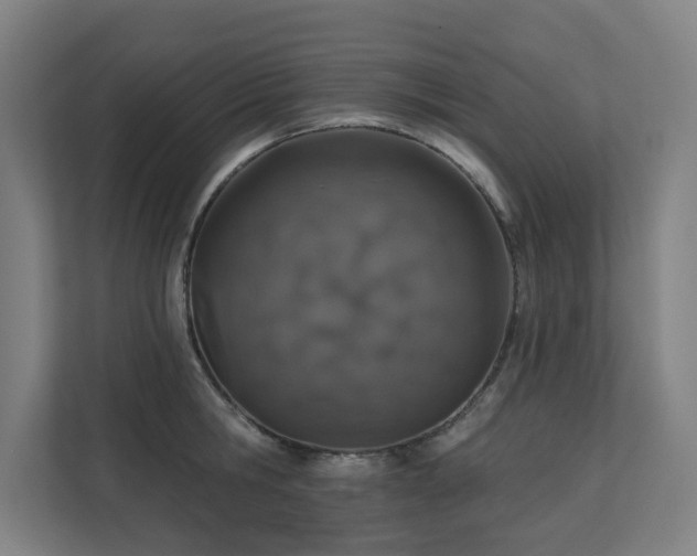 X0000110760806200906151304