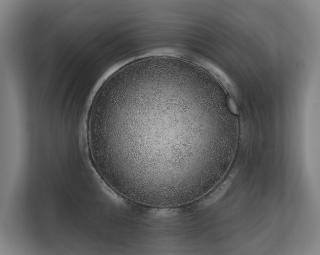 X0000110760808200906151304