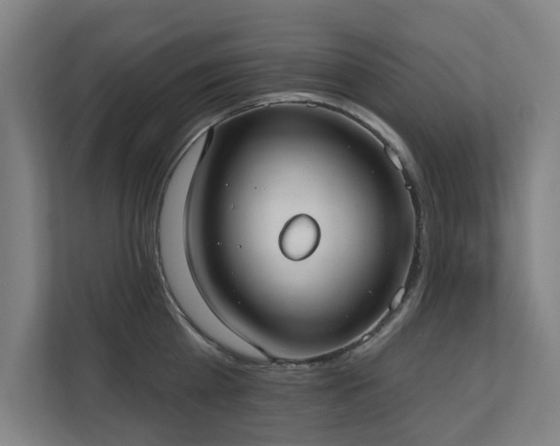X0000110760809200906151304