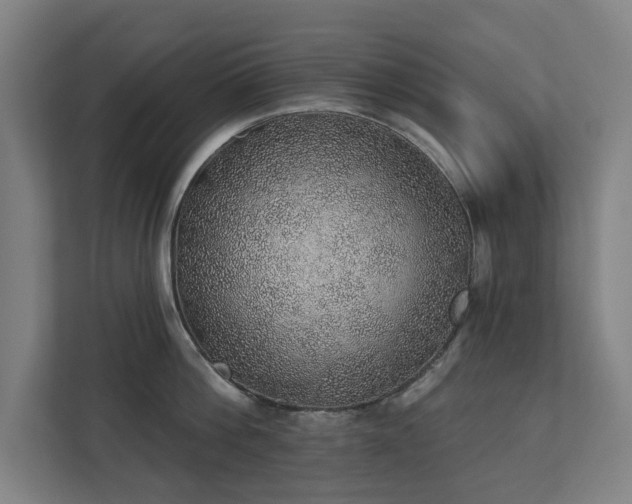 X0000110760812200906151304