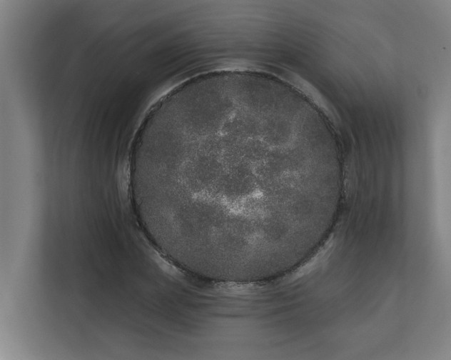 X0000110760831200906151304