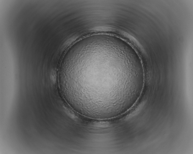 X0000110760833200906151304