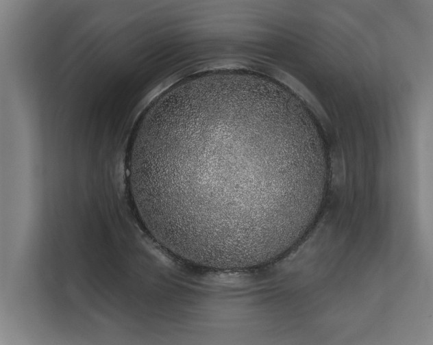X0000110760834200906151304