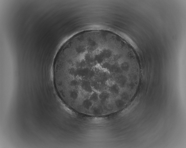 X0000110760839200906151304