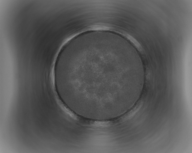 X0000110760840200906151304