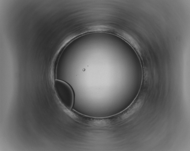 X0000110760843200906151304