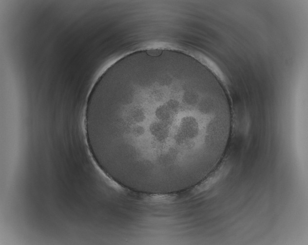 X0000110760847200906151304