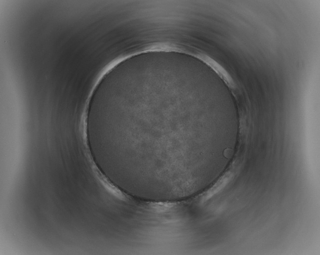 X0000110760854200906151304