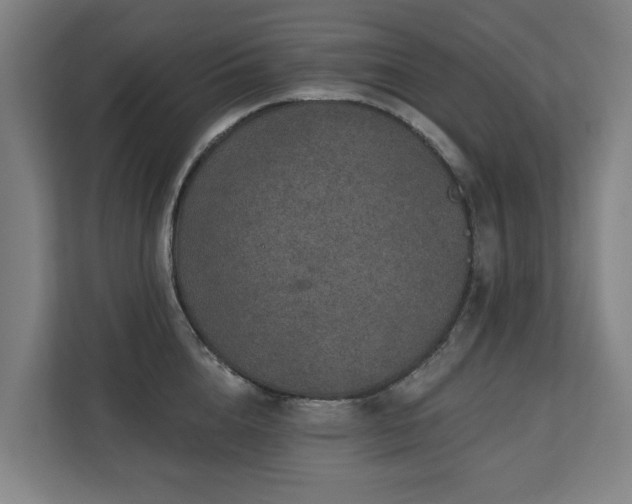 X0000110760856200906151304