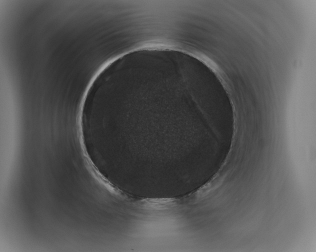 X0000110760864200906151304