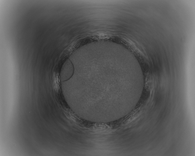 X0000110760866200906151304