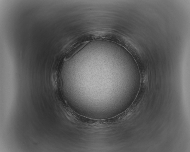 X0000110760868200906151304