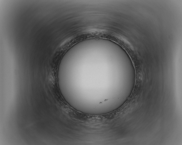 X0000110760869200906151304