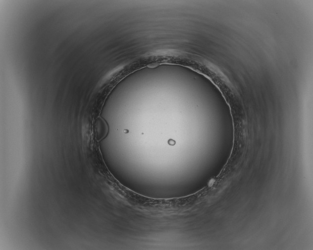 X0000110760872200906151304