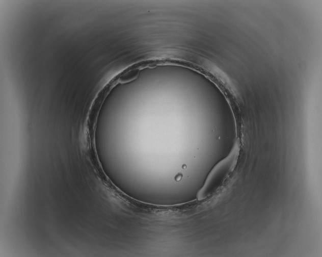 X0000110760876200906151304