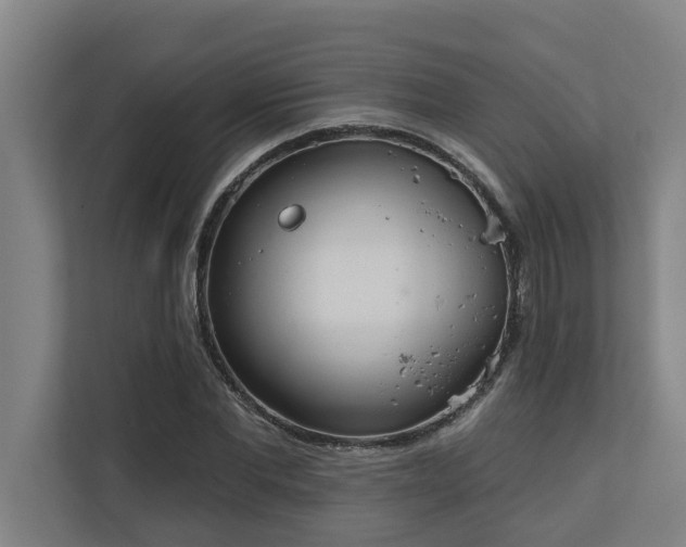 X0000110760877200906151303