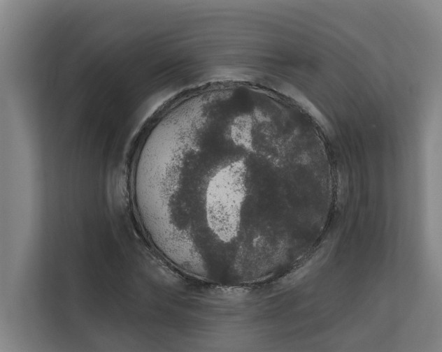 X0000110760878200906151303