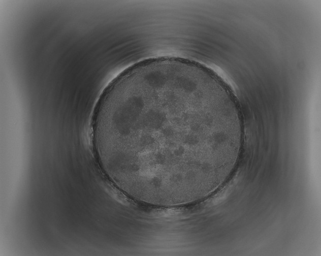 X0000110760879200906151303