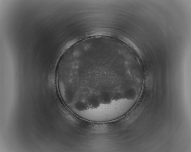 X0000110760882200906151303