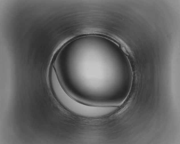 X0000110760885200906151303