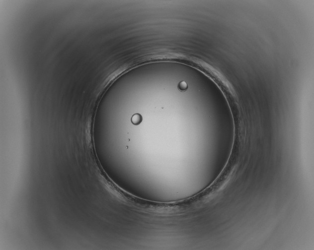 X0000110760889200906151303