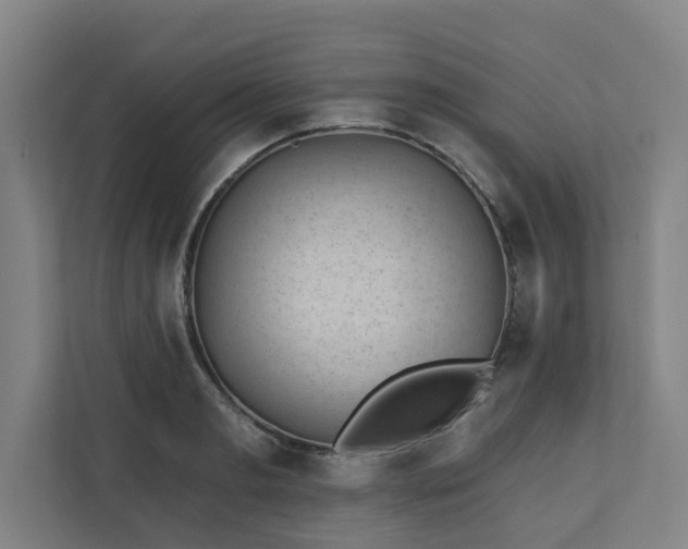 X0000110760893200906151303