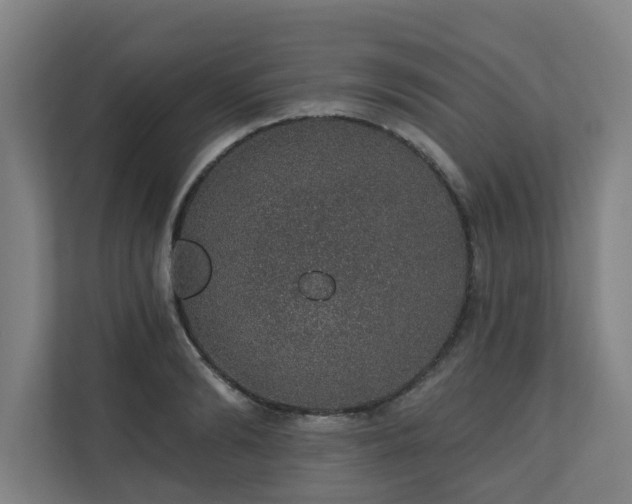 X0000110760894200906151303