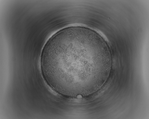 X0000110760895200906151303