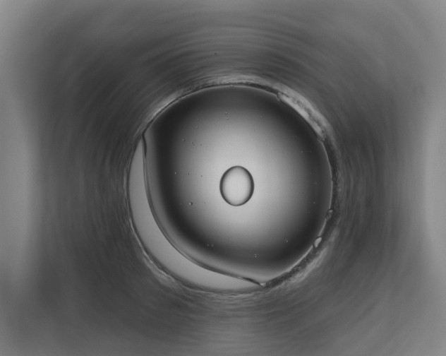 X0000110760897200906151303