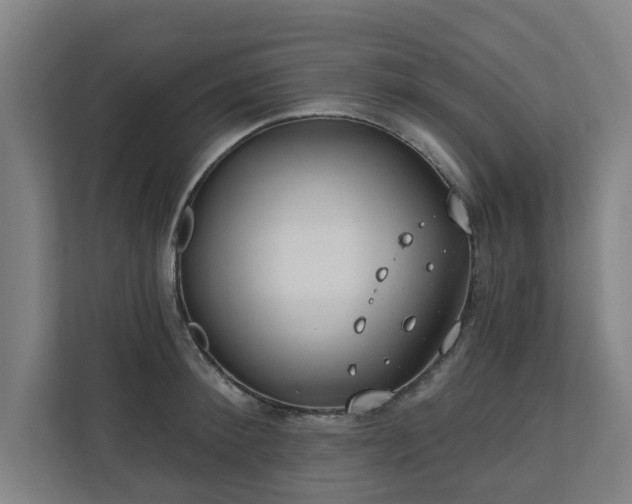 X0000110760900200906151303