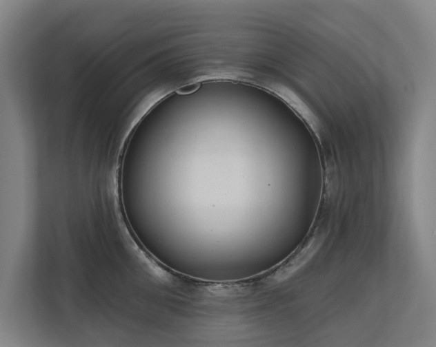 X0000110760906200906151303