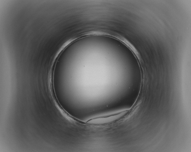 X0000110760909200906151303