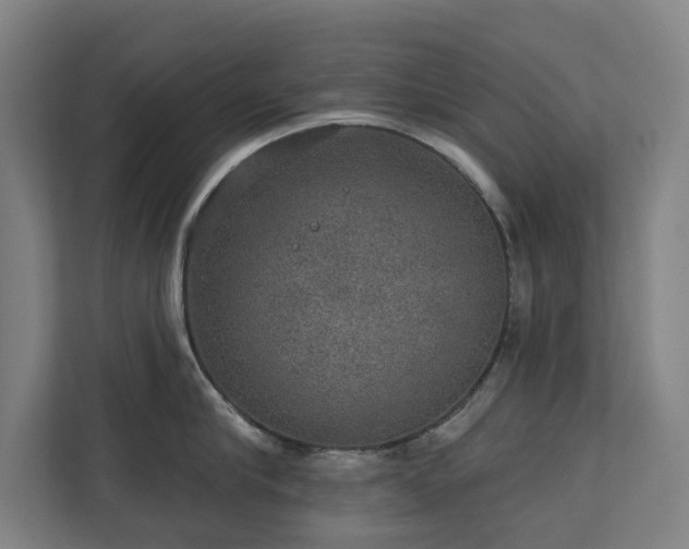 X0000110760910200906151303